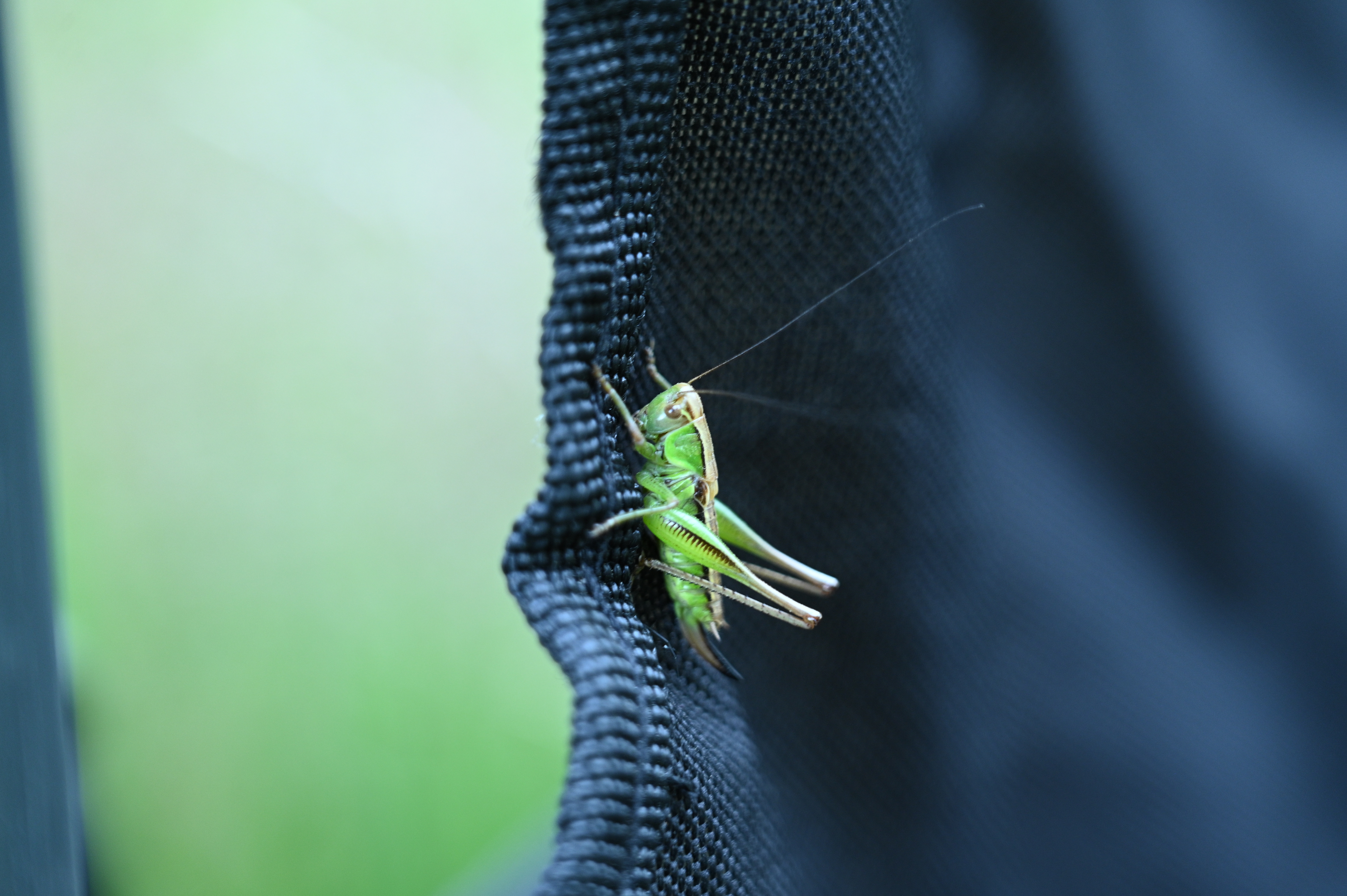 2025/07/09-14 - trip/DSC_0039.JPG